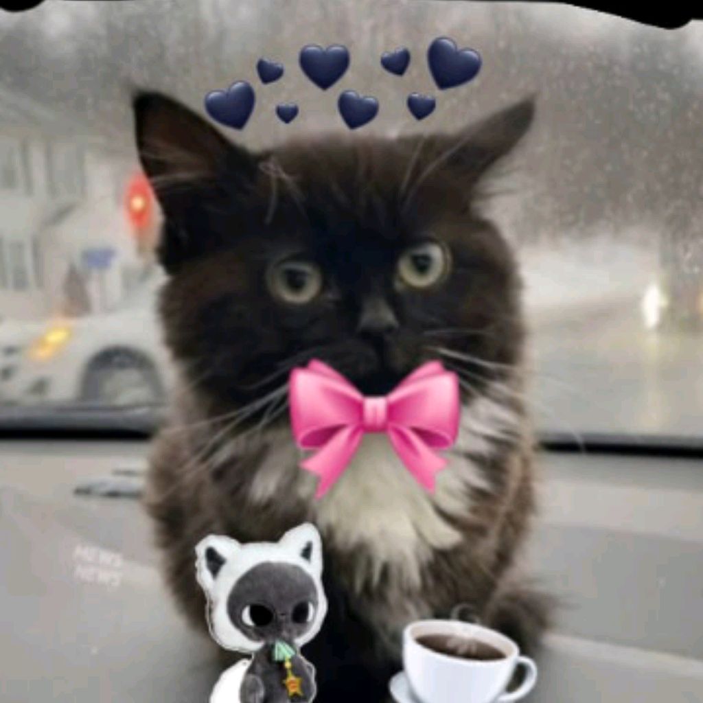 🖤🐈⬛СиГма ЧмОня🎀🩷