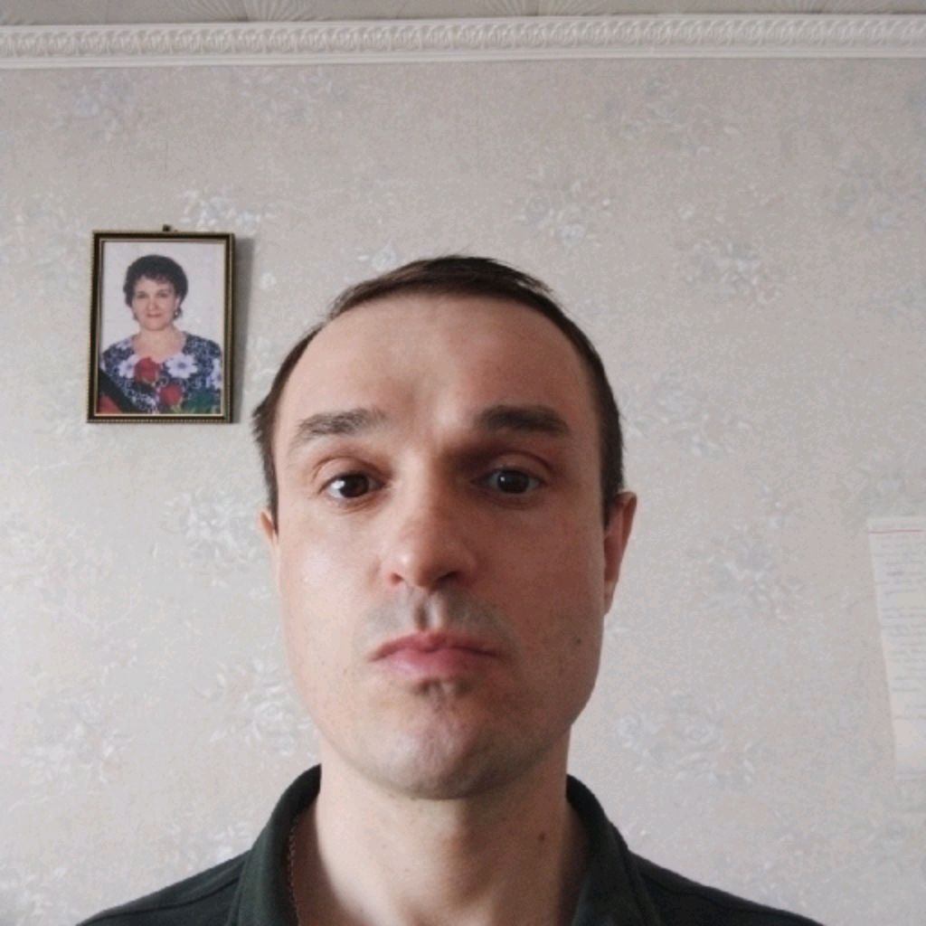 Platan11mir