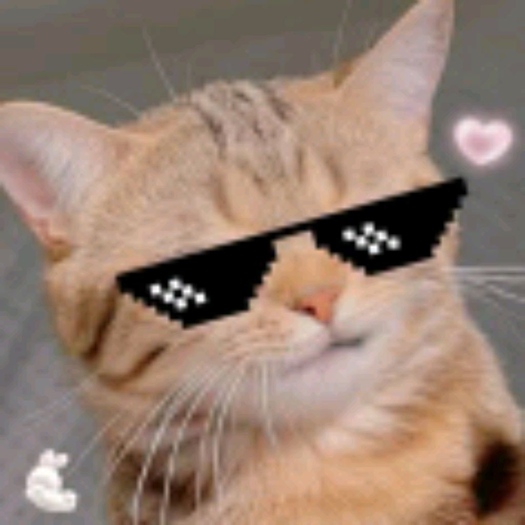 КоТиКи🥳