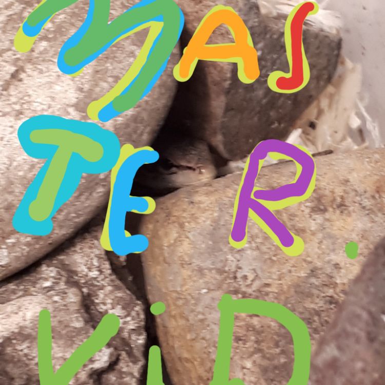 Master.vid