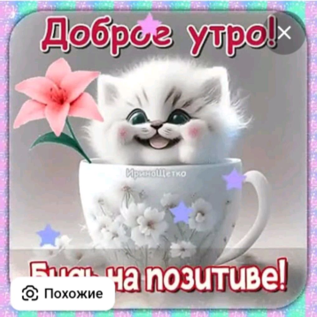anushegoyan4@gmail.com