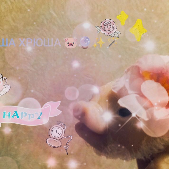 Нюша хрюша 🐷🌸🪄✨🔮