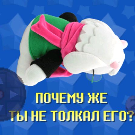 Кот