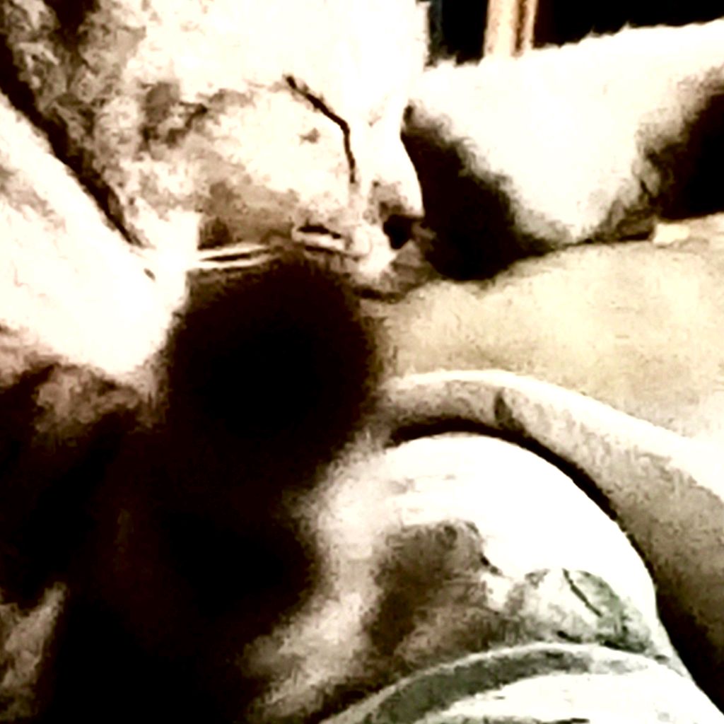 [$TAD0_KRUT1H]