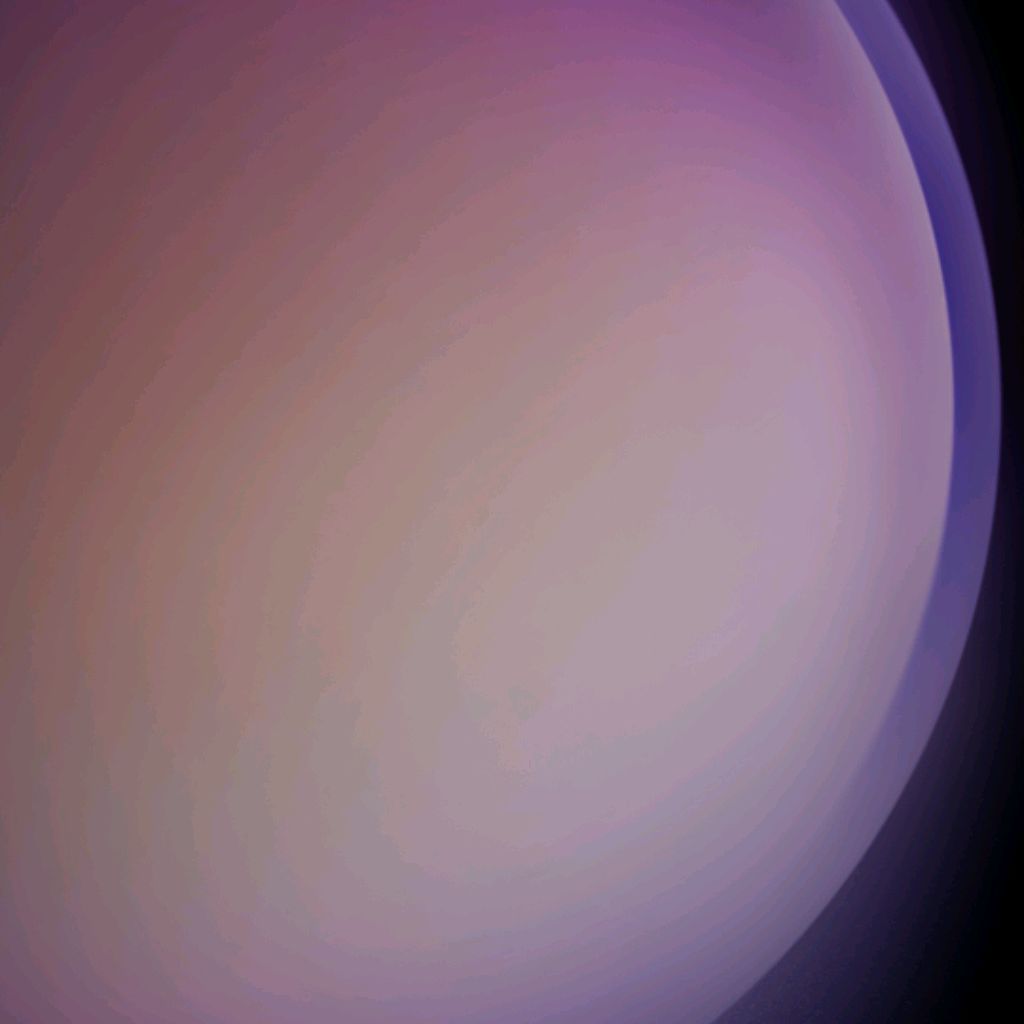 User_ID