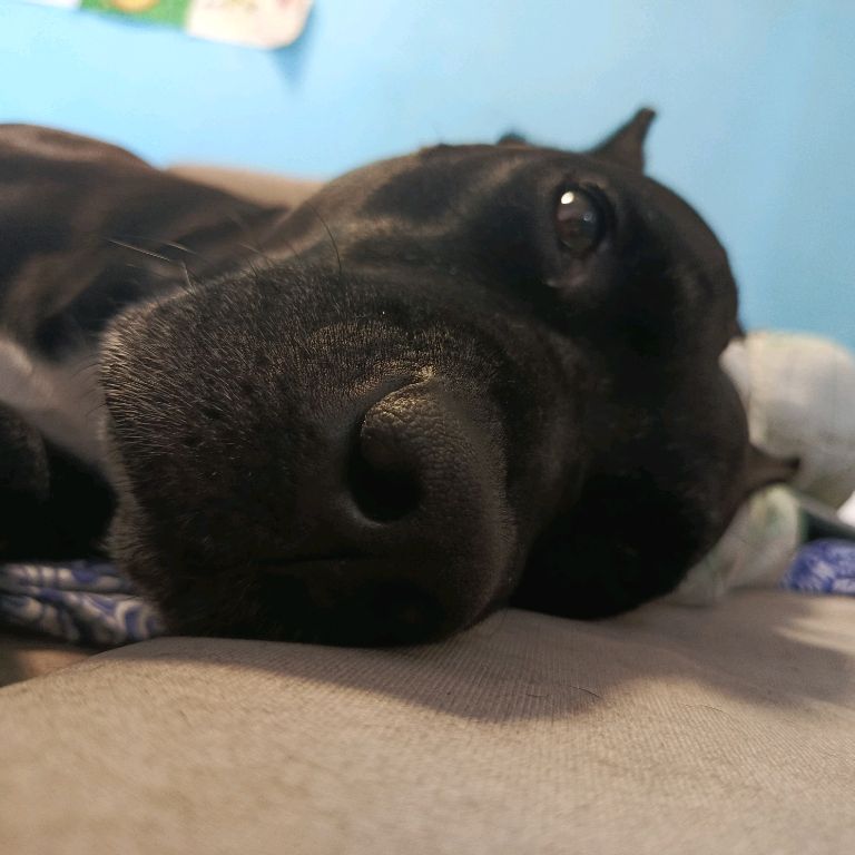(っ◔◡◔)っ ♥ КОСМОС ♥