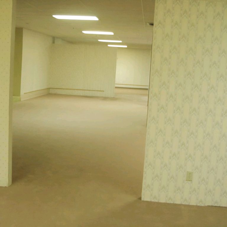 Backrooms Found Footages