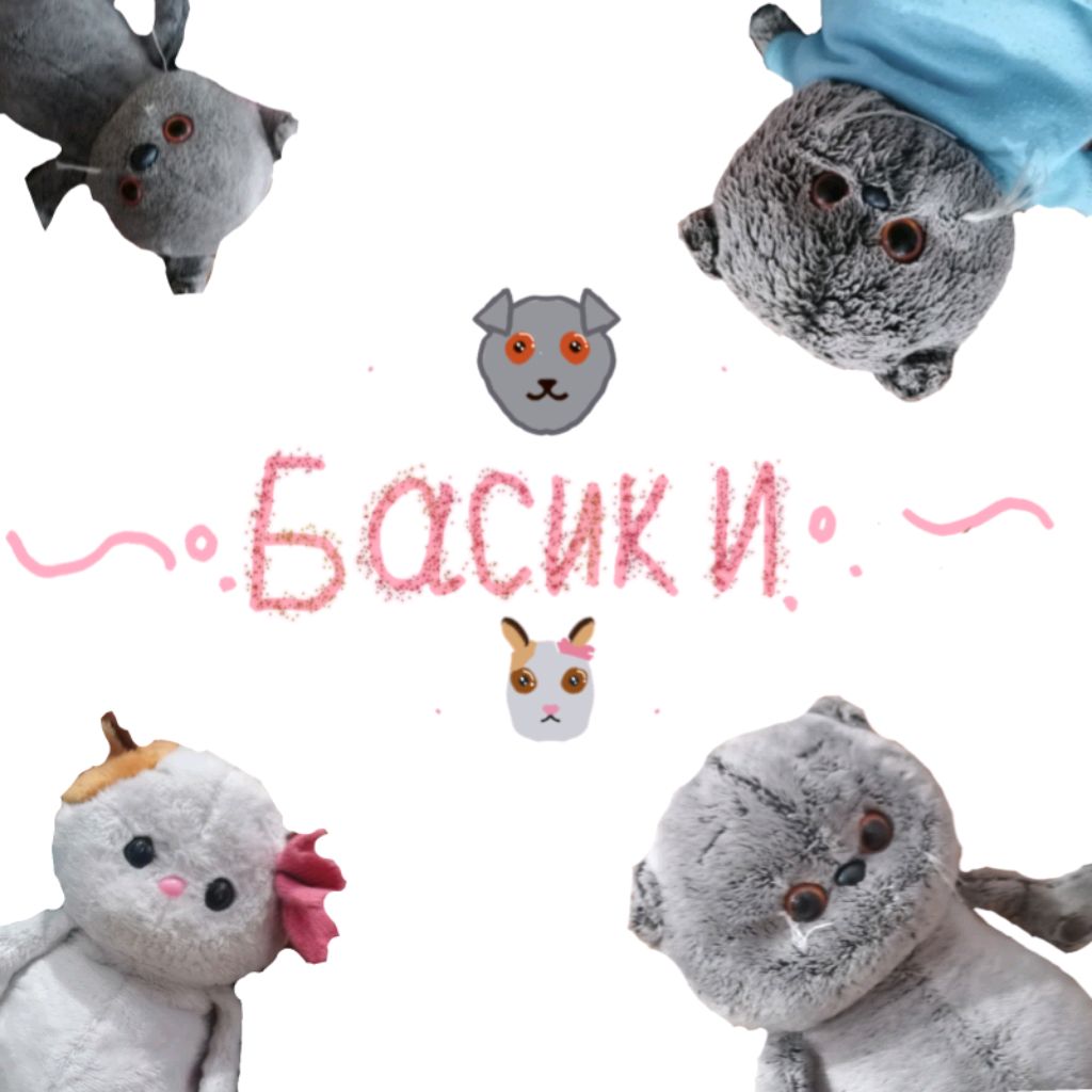 ~°.басята. °~