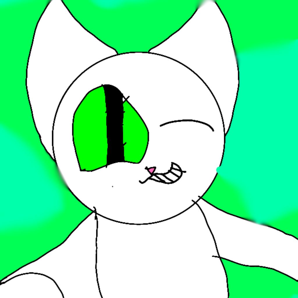 КОТИК TV