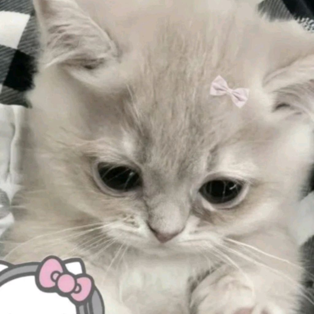 Котя Элина