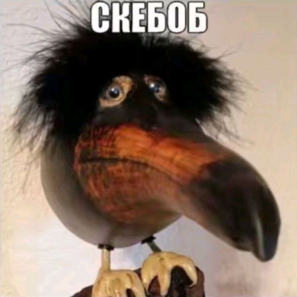 скебоб