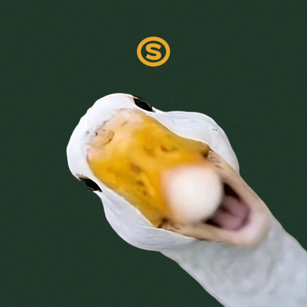 Kakawka