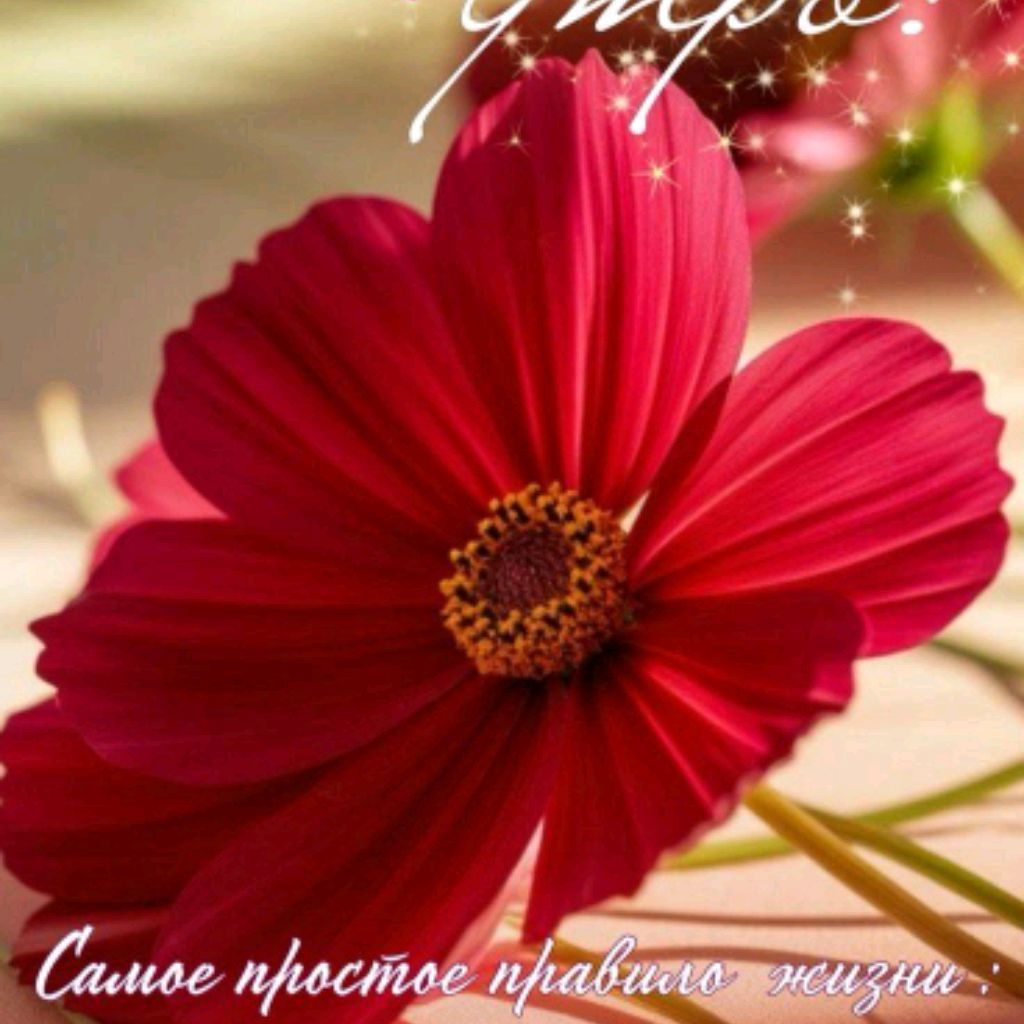 Натали