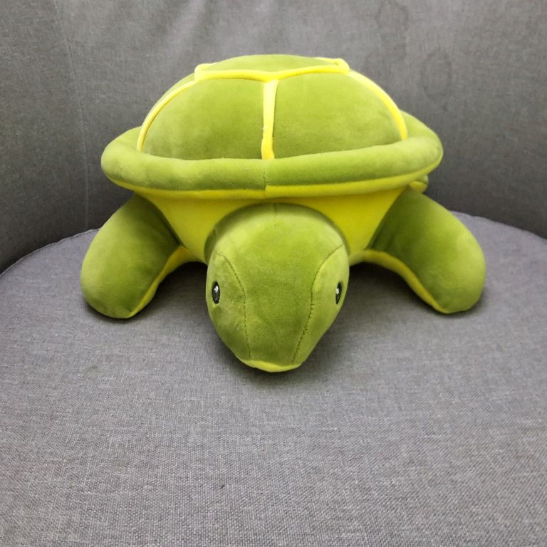 Turtle Stories