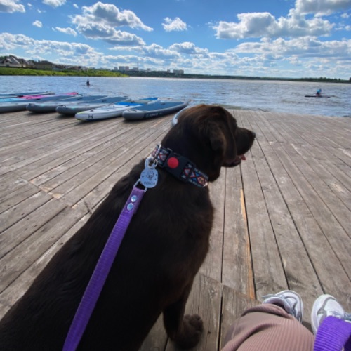 Viki_186_surgut