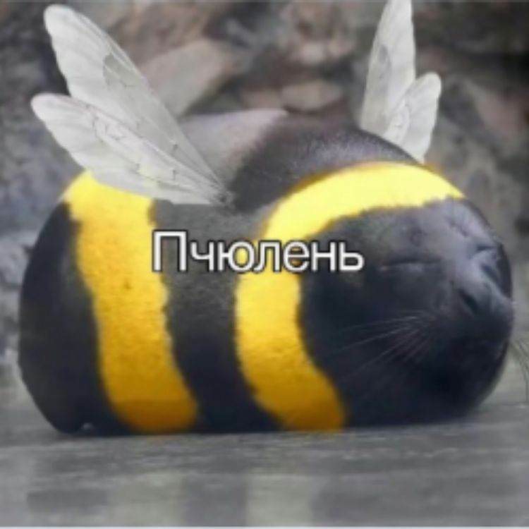 Вероника