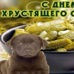 НОНс