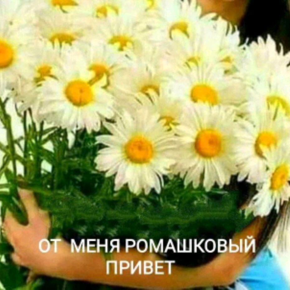 Любовь