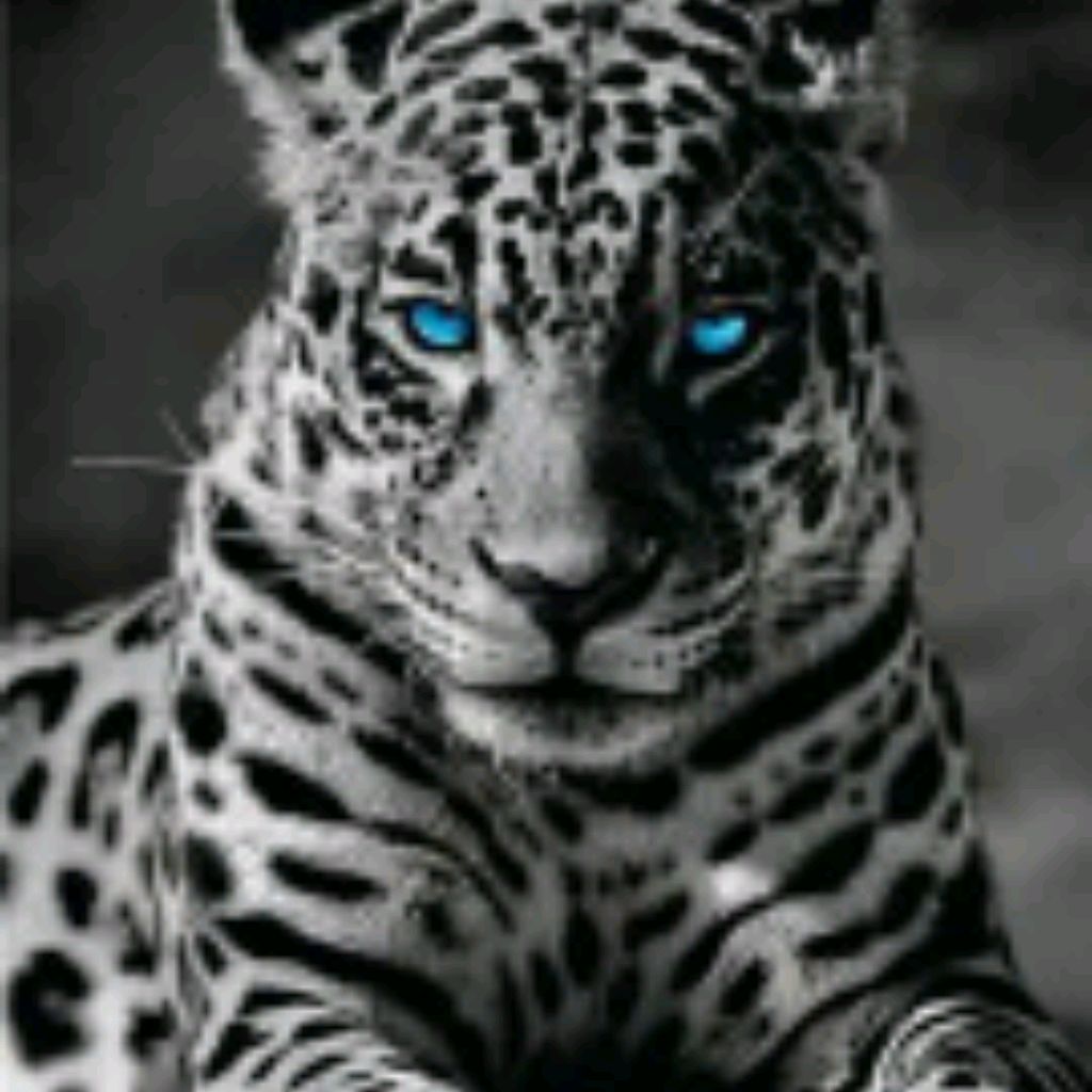 Aslan15rus