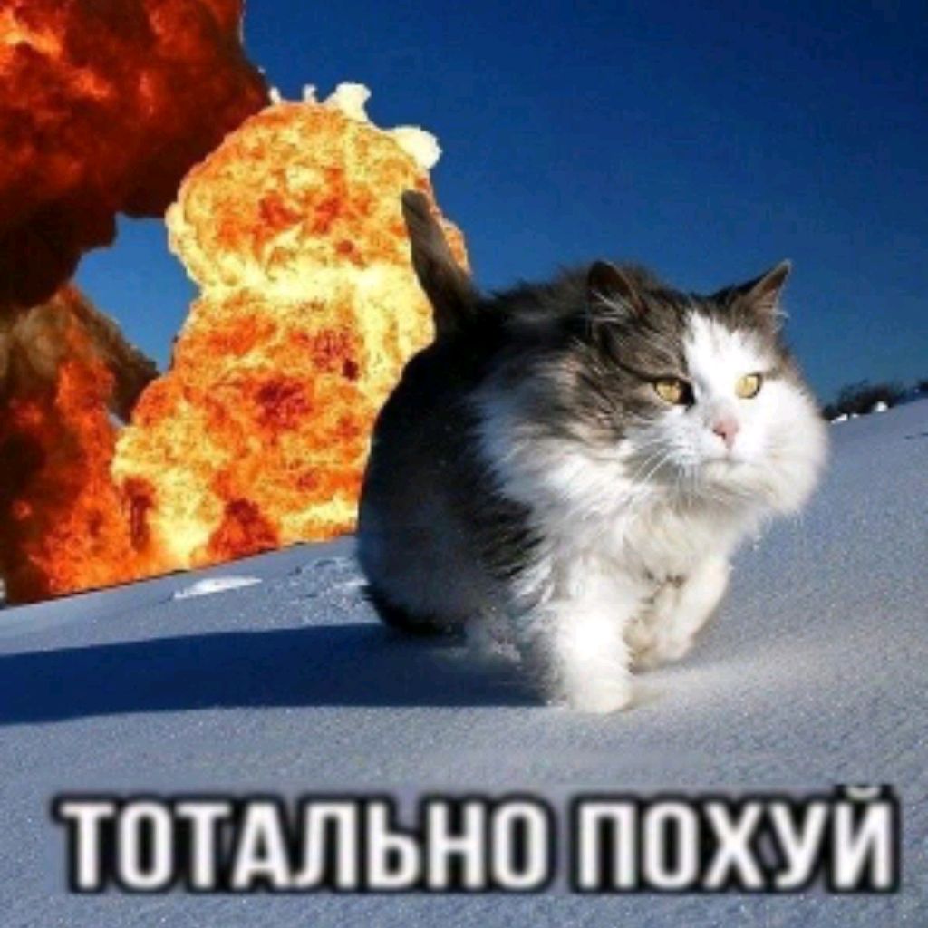 GemeNoob_GN