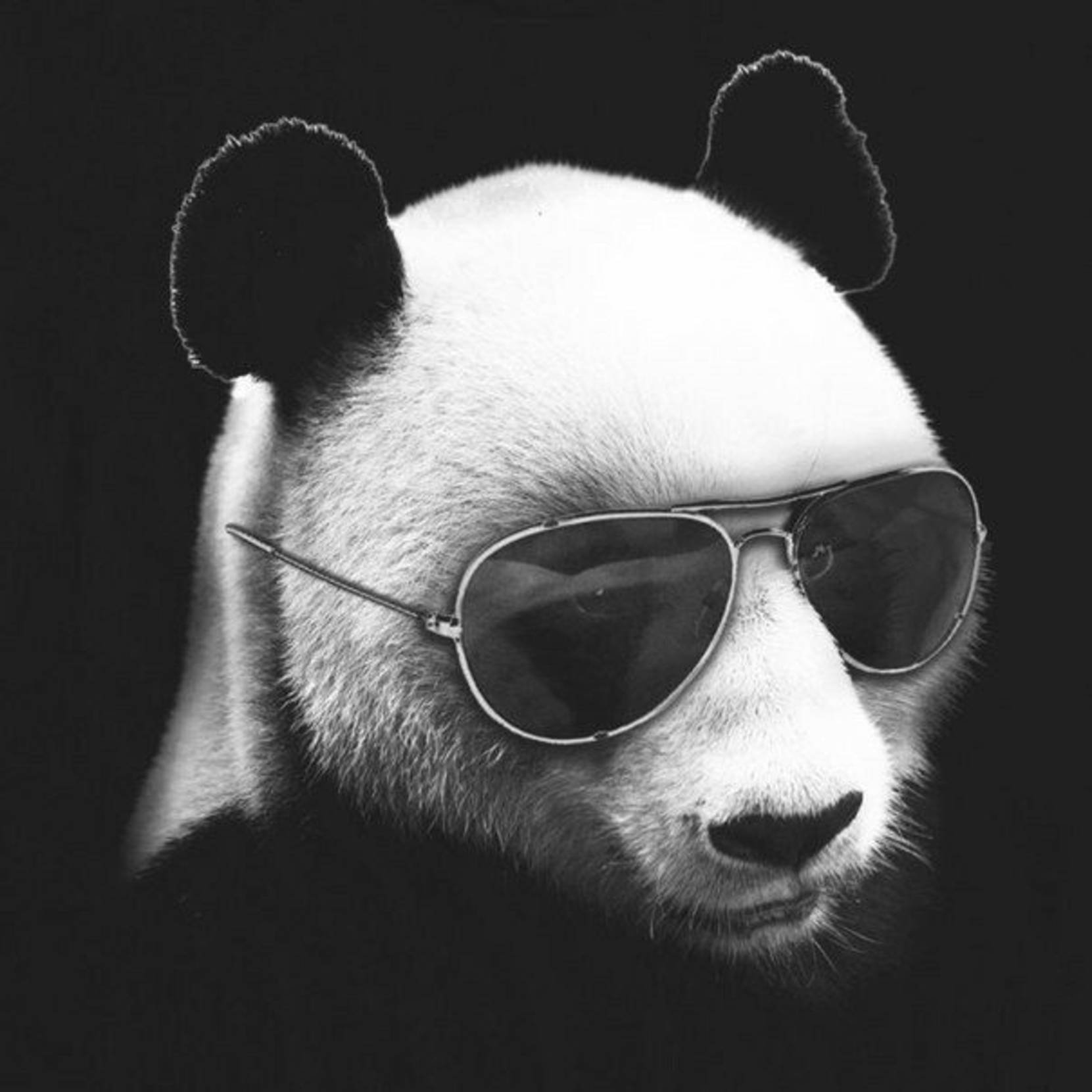 ВидеоГрад Mobile