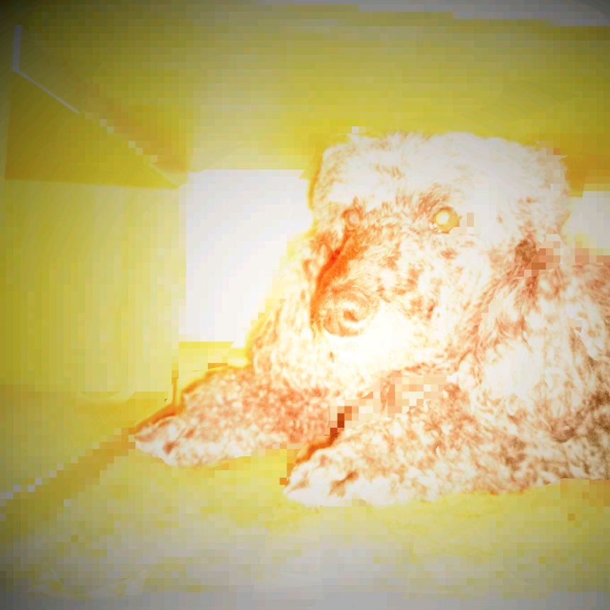 Я Не Жду Я Делаю