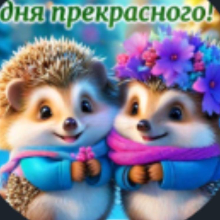 channel38653741 Ник