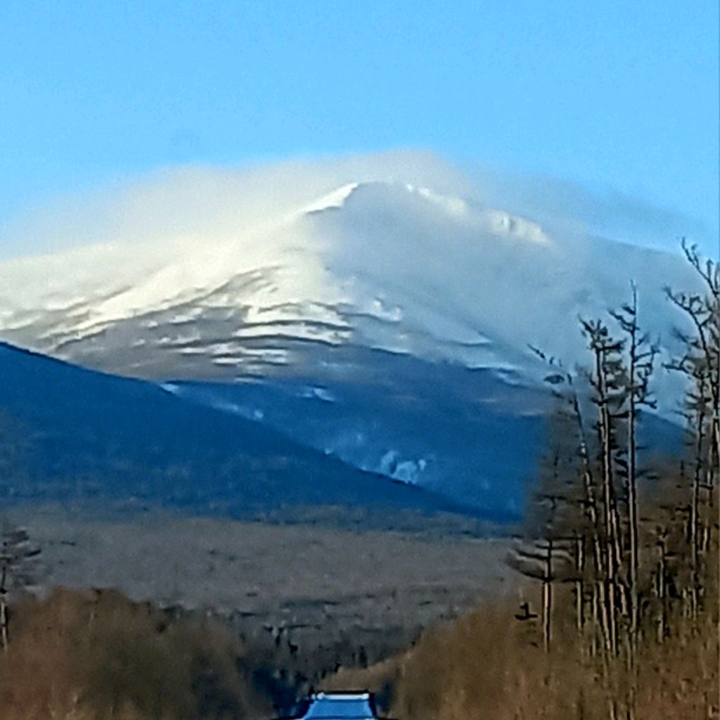 channel61751786