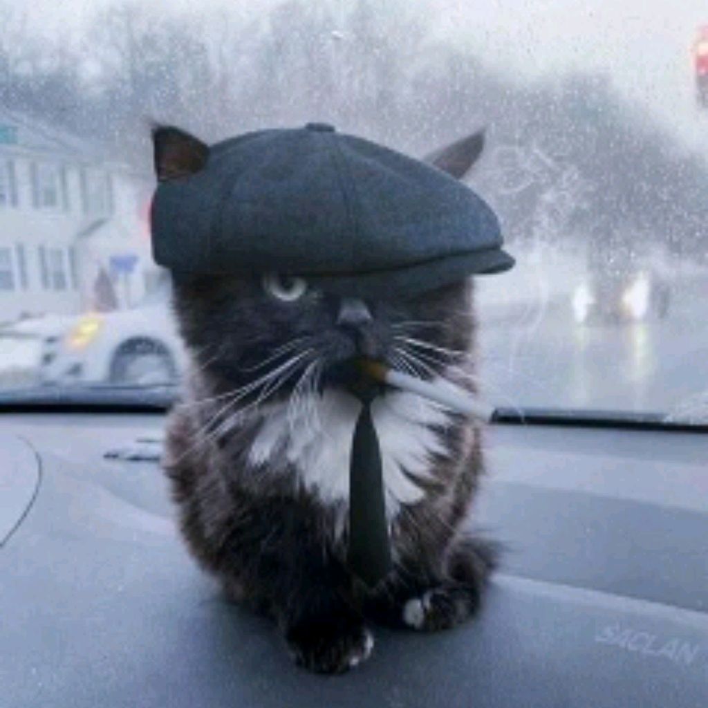 РОЖОК ПИРОЖОК
