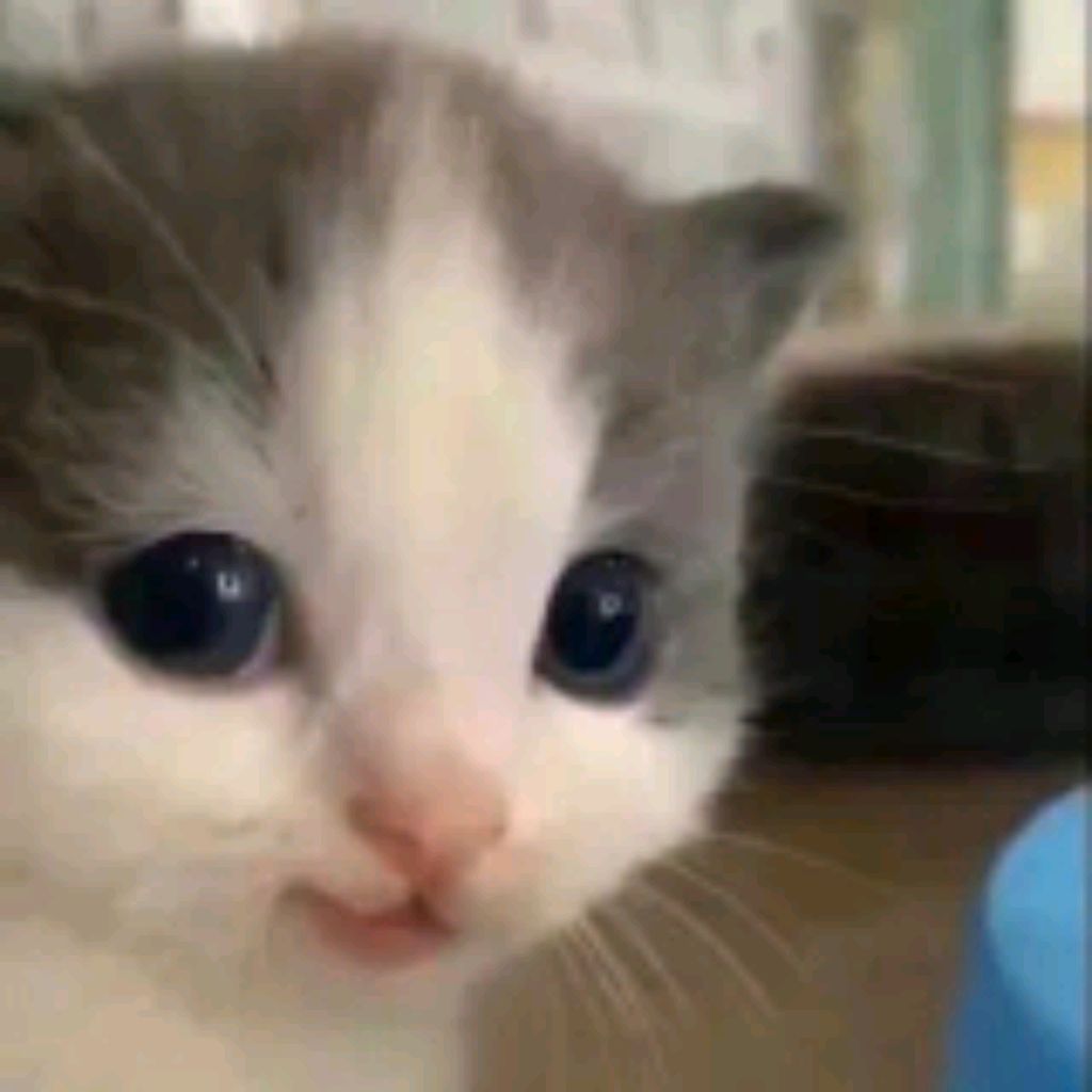 Вилли Добрый