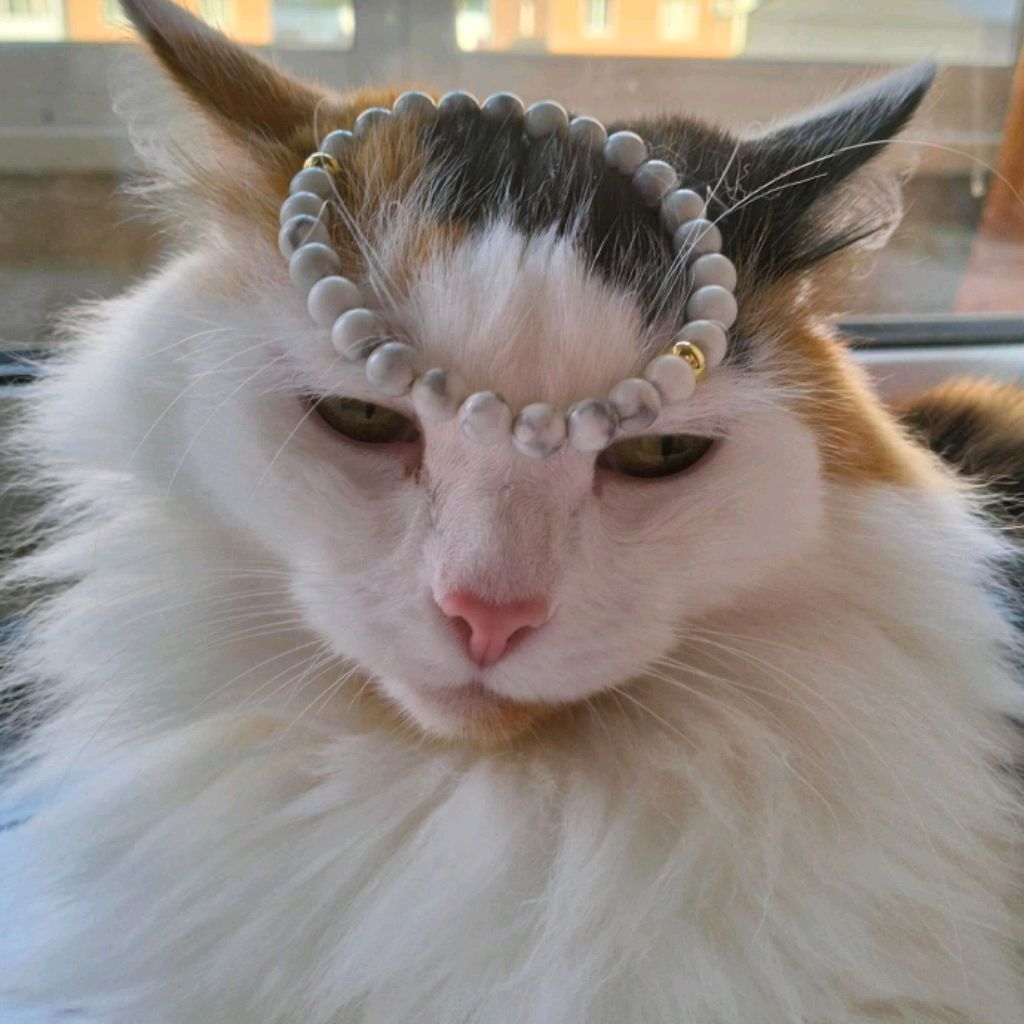 Лёха ха ха