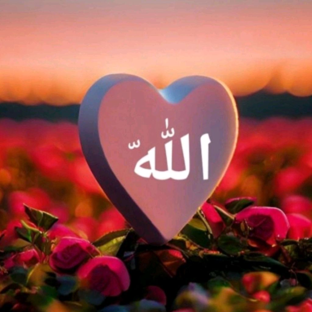 @Jutt08665596