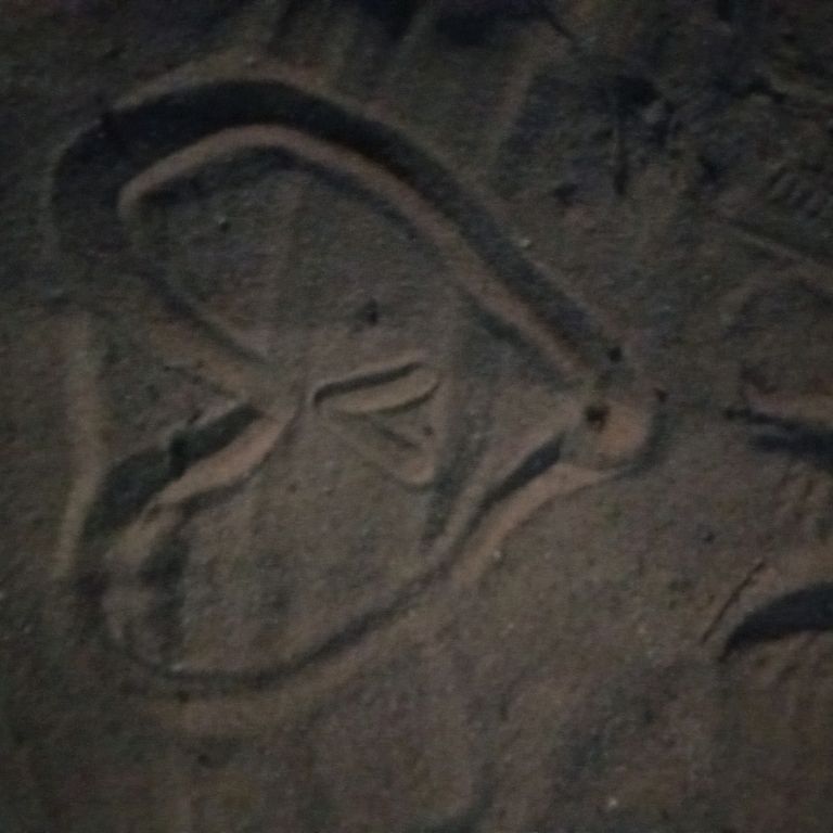 channel48729528
