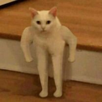 Yan_0