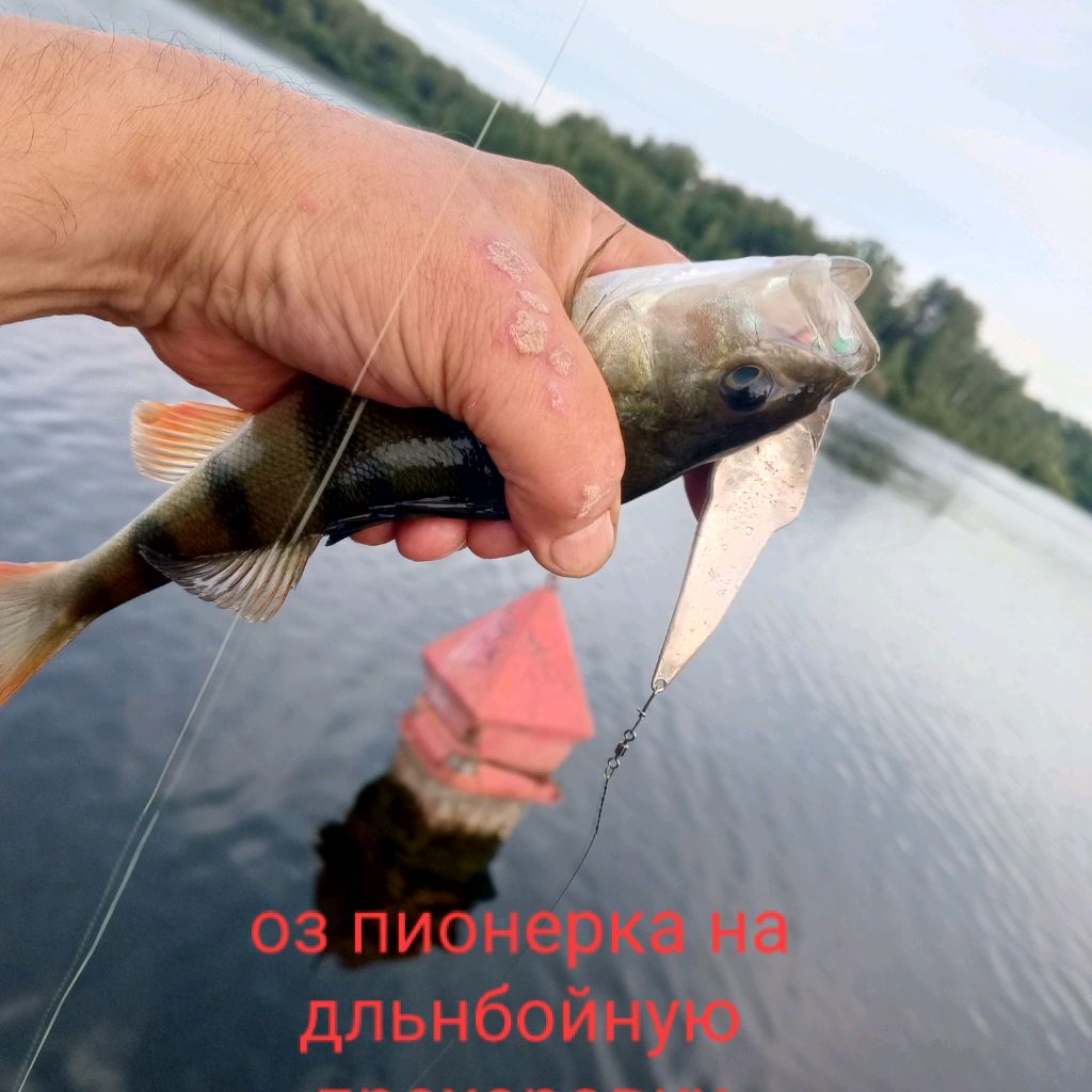 О блёснах всякоразно.Бокрюк