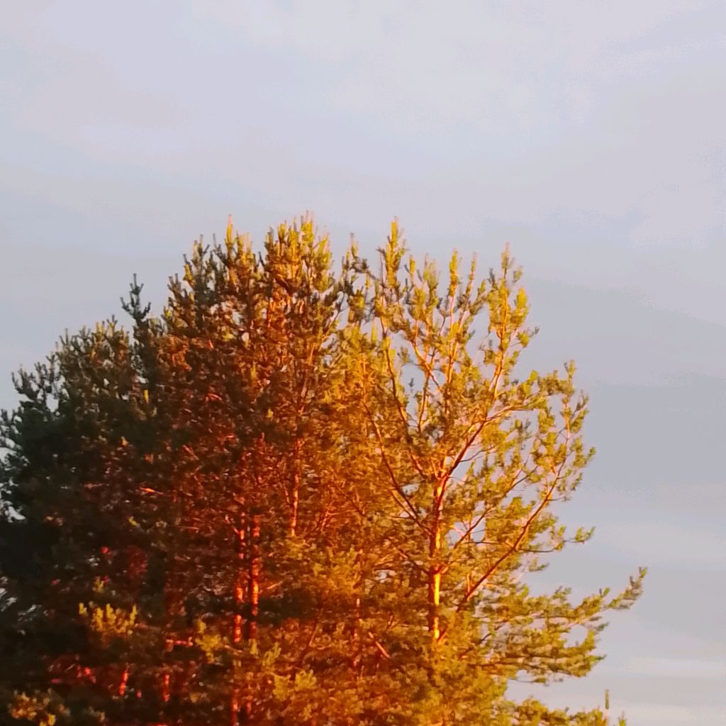 Taburetka