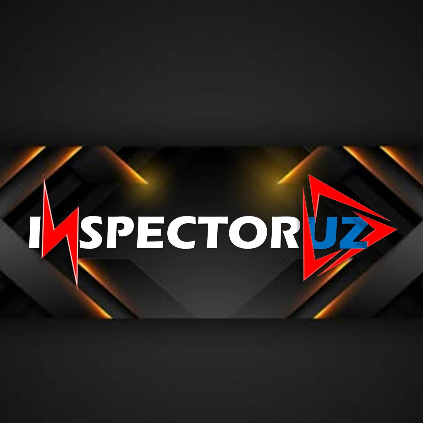 INSPECTOR UZ | ИНСПЕКТОР УЗ