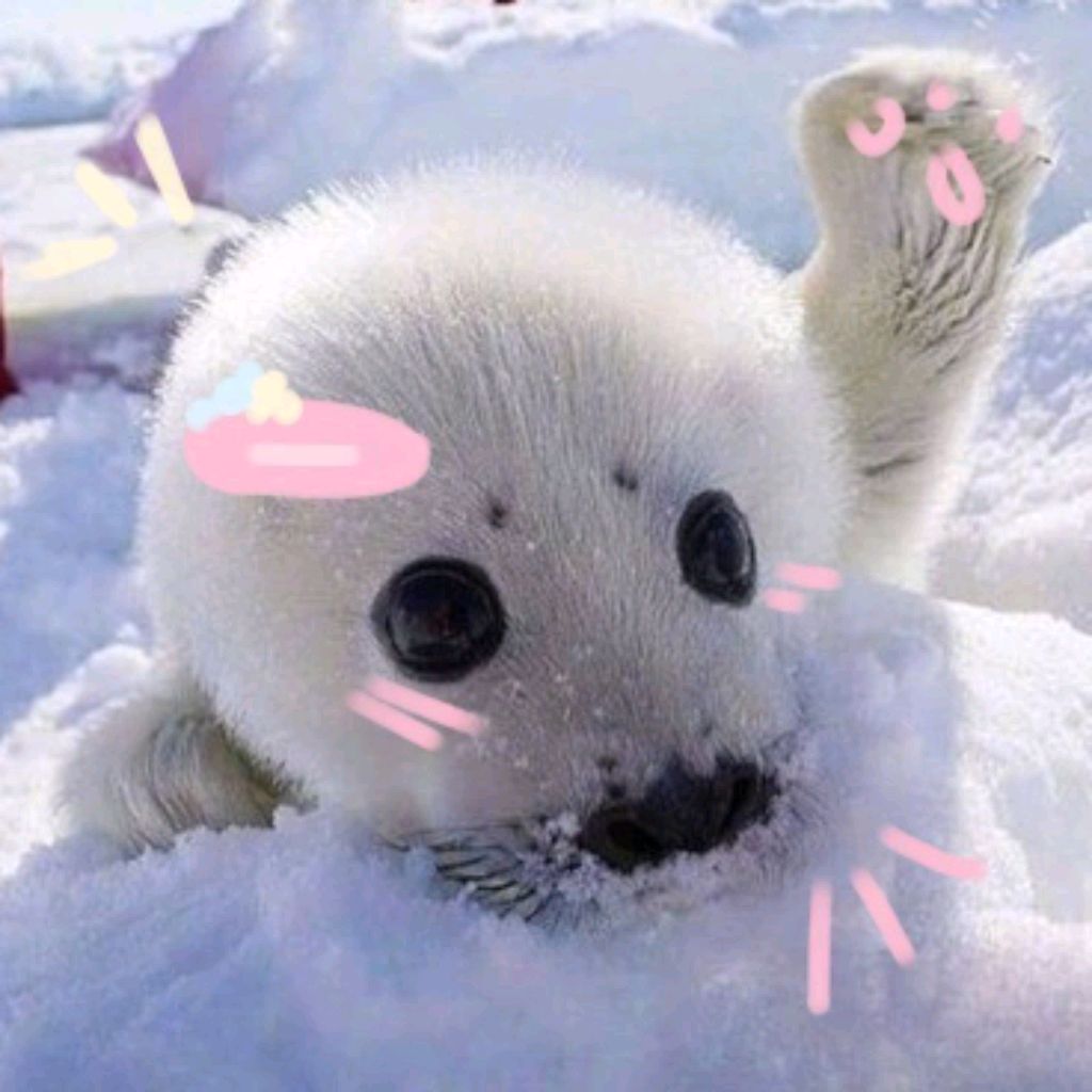 🦭