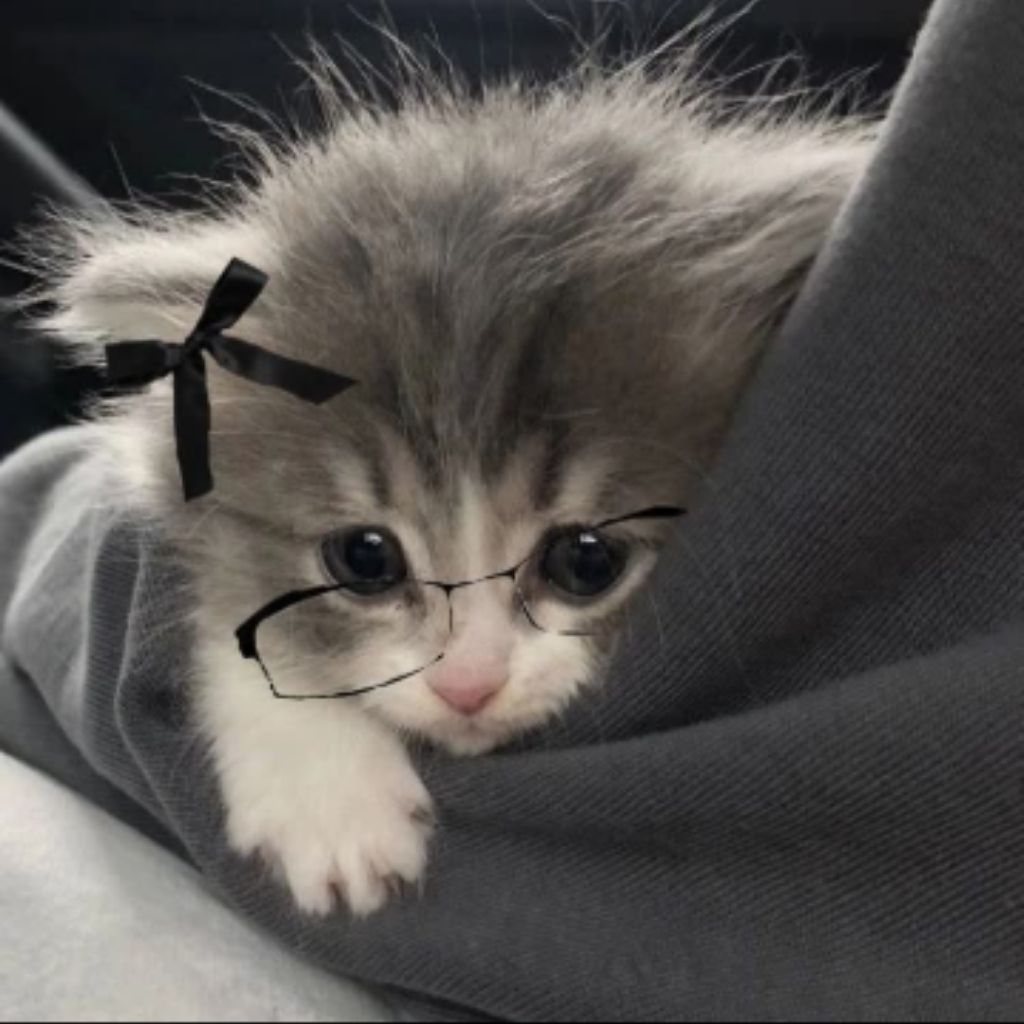 🎀Лейсик🎀