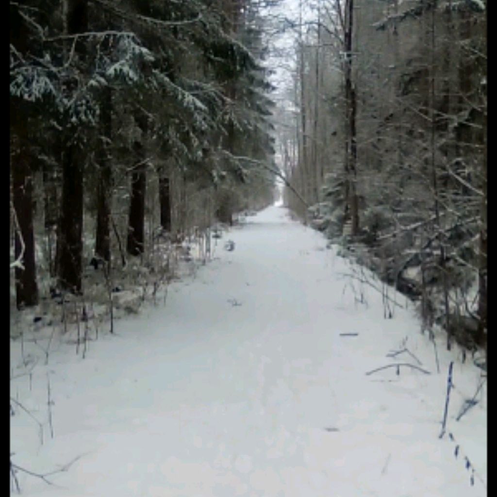 Отшельник