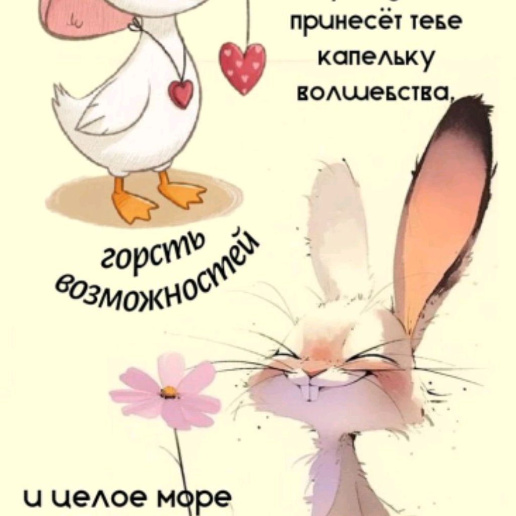 Сниматель видео Канала Миши