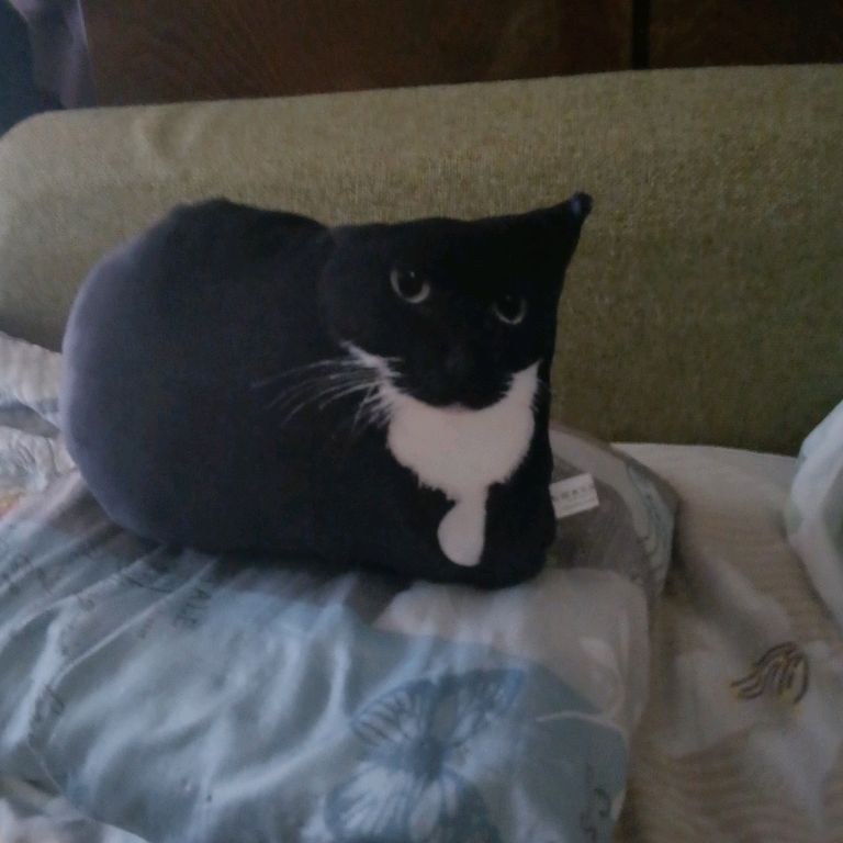 🐱Ivan228🚩