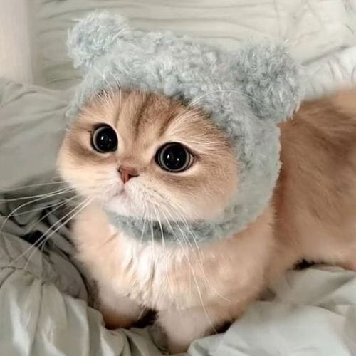 ЛЮБЛЮ ДОРАМЫ ❤ А ТЕБЯ ОЧЕНЬ ❤