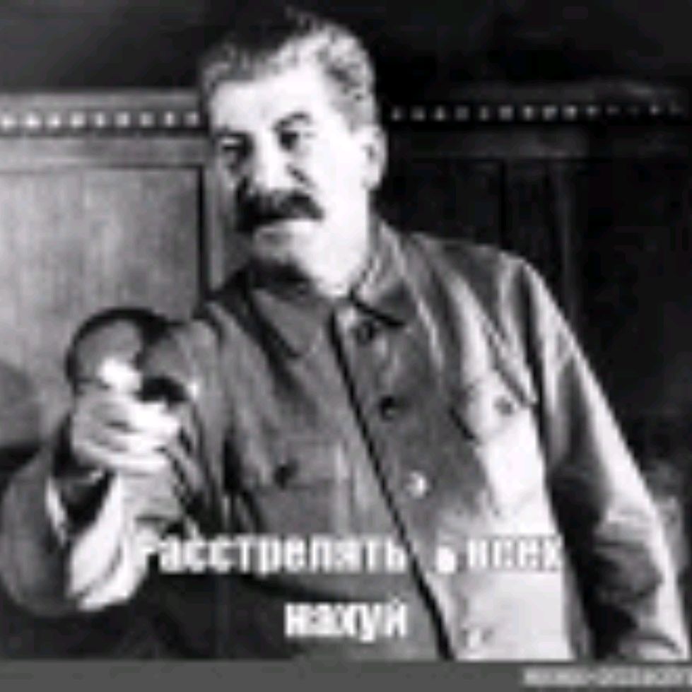 DAN