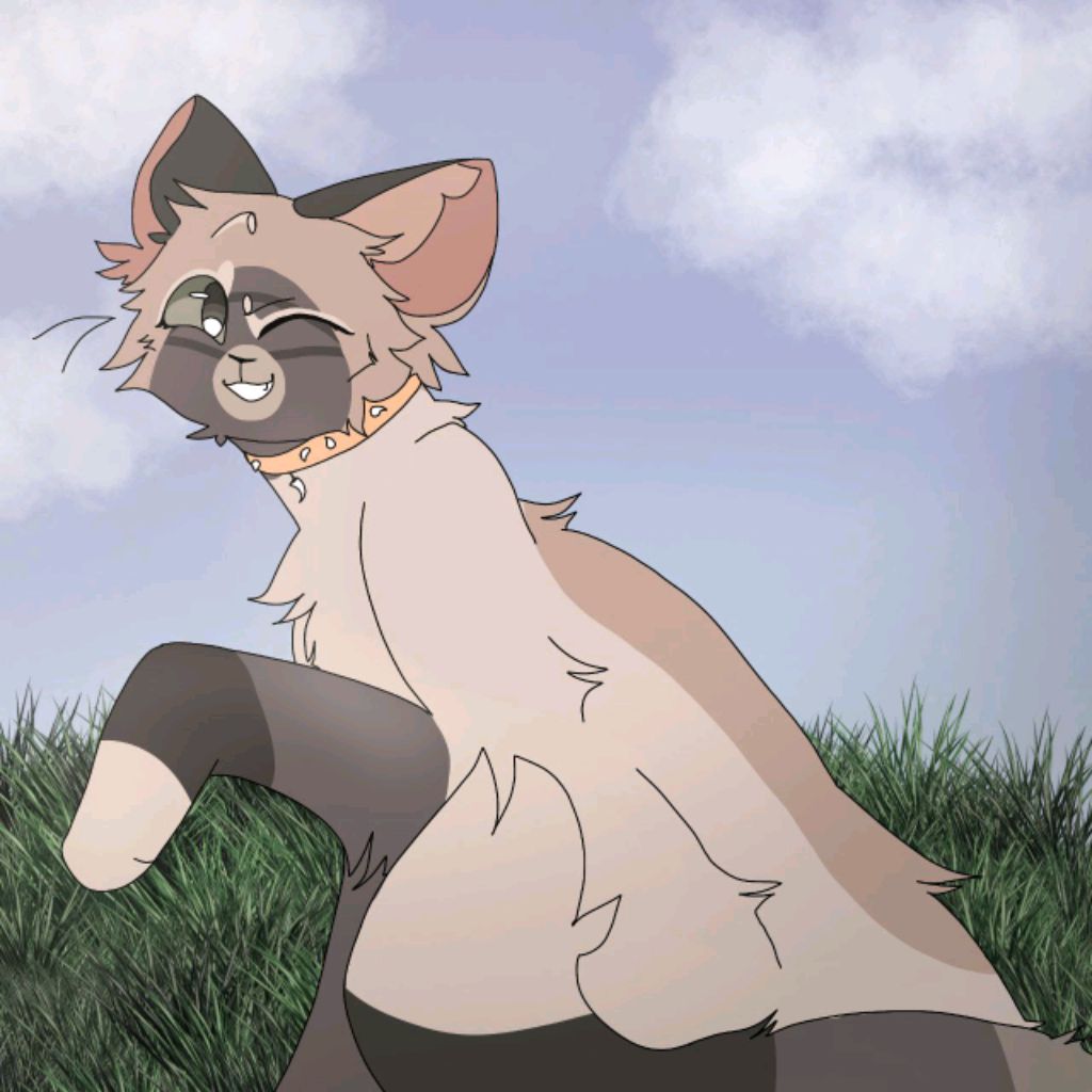 Warrior cats_marten