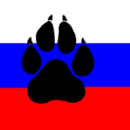 Настя Фурри