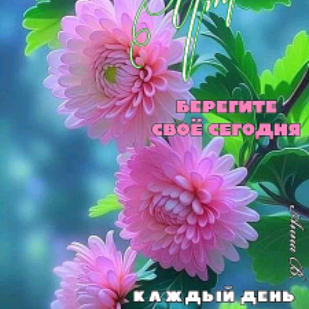 channel56462009