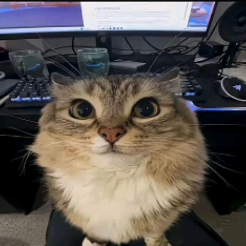 channel67579698