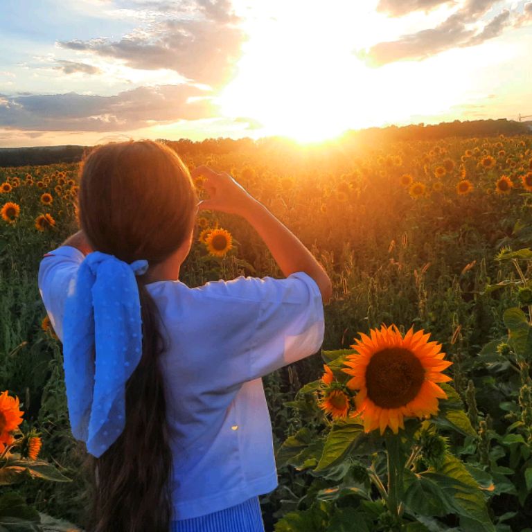 🌼Ромашка🌼☑️