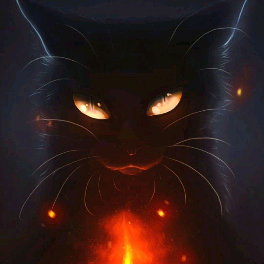 Чёрный кот